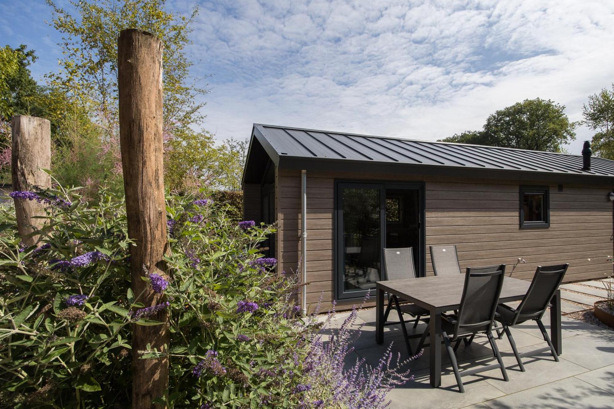 Modern Ingericht Chalet Op Groen Park Op De Veluwe Epe Exterior foto